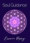 Soul Guidance 