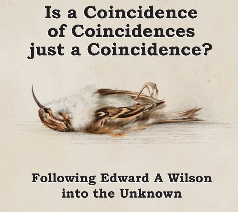 Is a Coincidence of Coincidences just a Coincidence ? Following Edward A Wilson into the Unknown