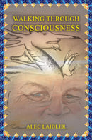 Walking Through Consciousness