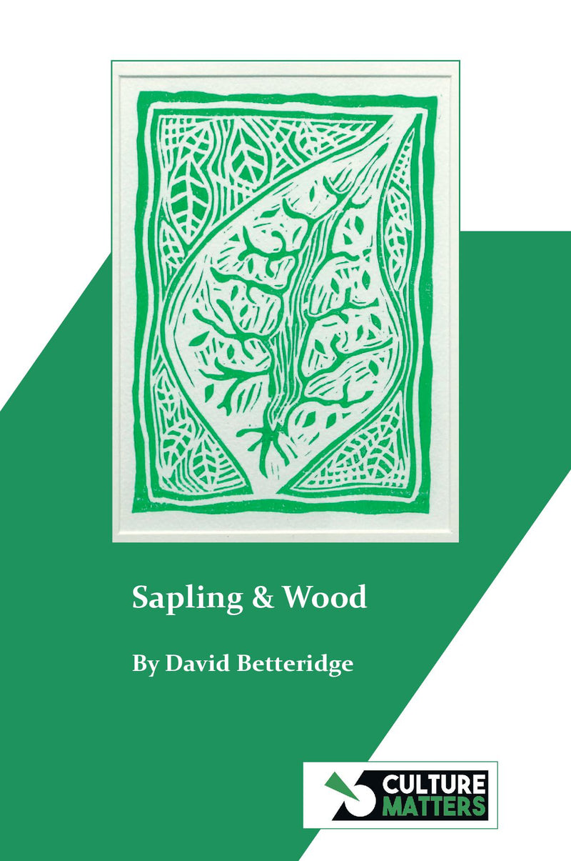 Sapling & Wood by David Betteridge