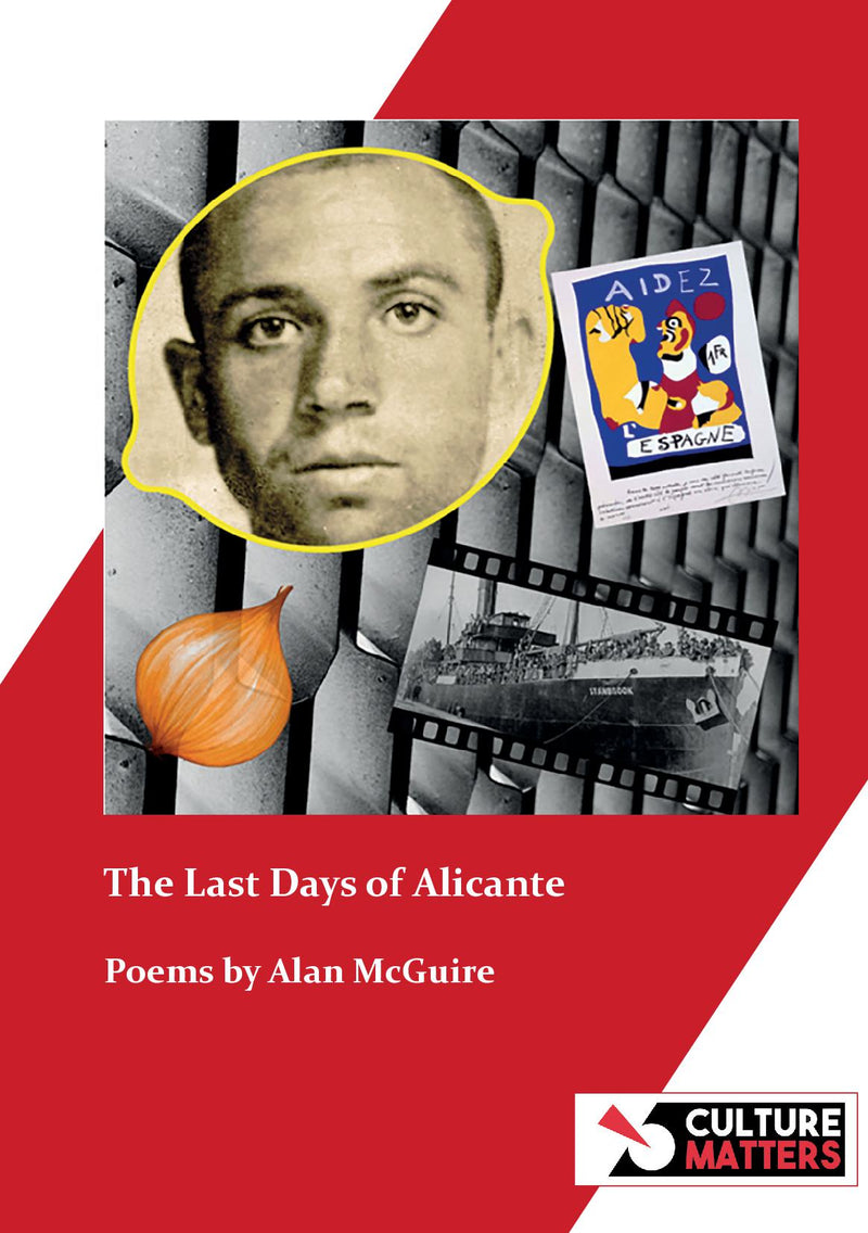 The Last Days of Alicante by Alan McGuire