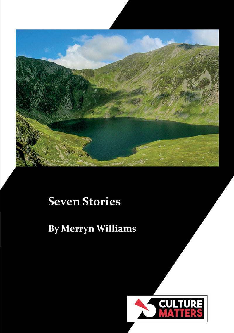 Seven Stories by Merryn Williams