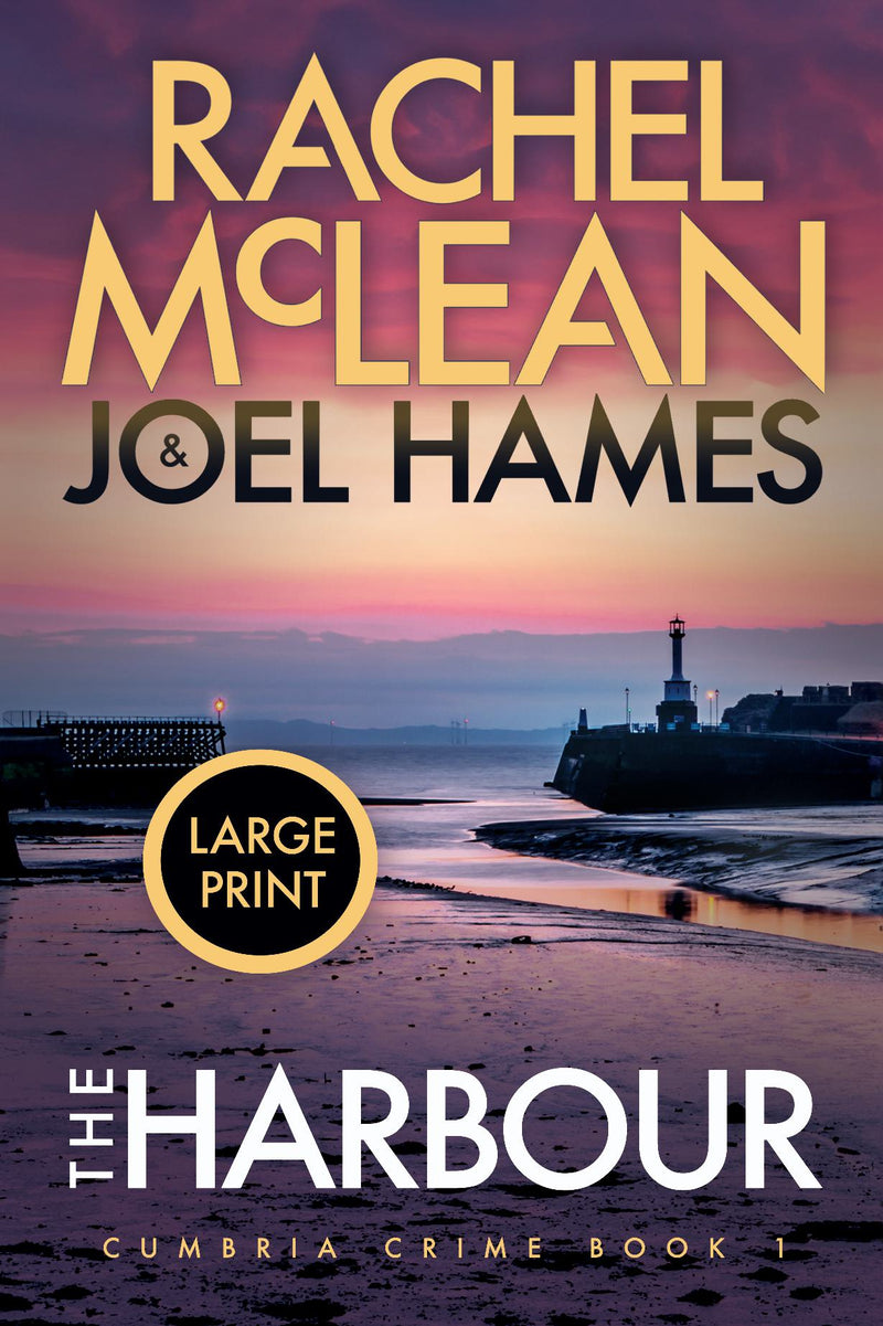 The Harbour (Large Print)