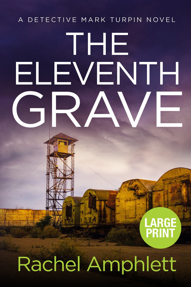 The Eleventh Grave - A Detective Mark Turpin crime thriller