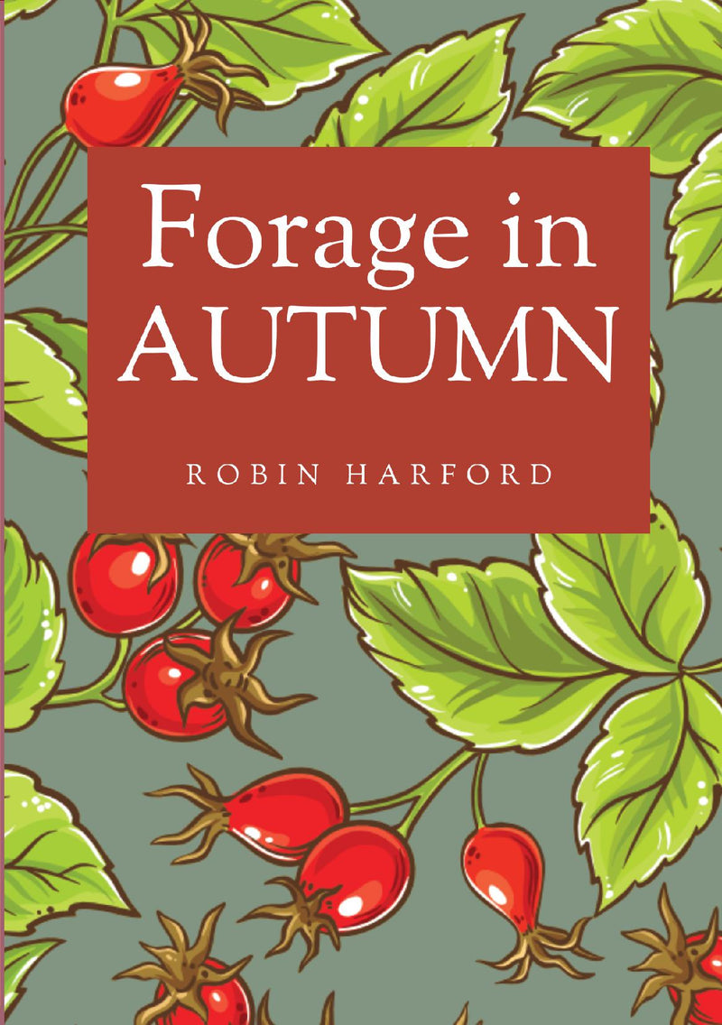 Forage In Autumn