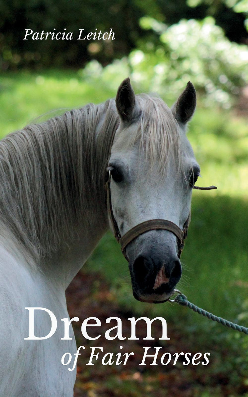 Dream of Fair Horses