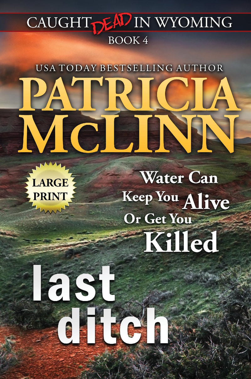 Last Ditch: Large Print