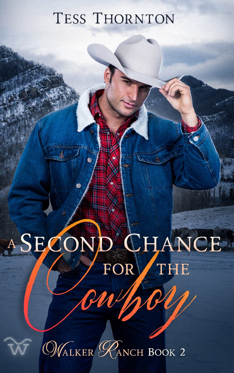 A Second Chance for the Cowboy