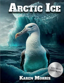 Arctic Ice