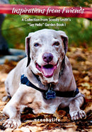 Inspirations from Fwiends