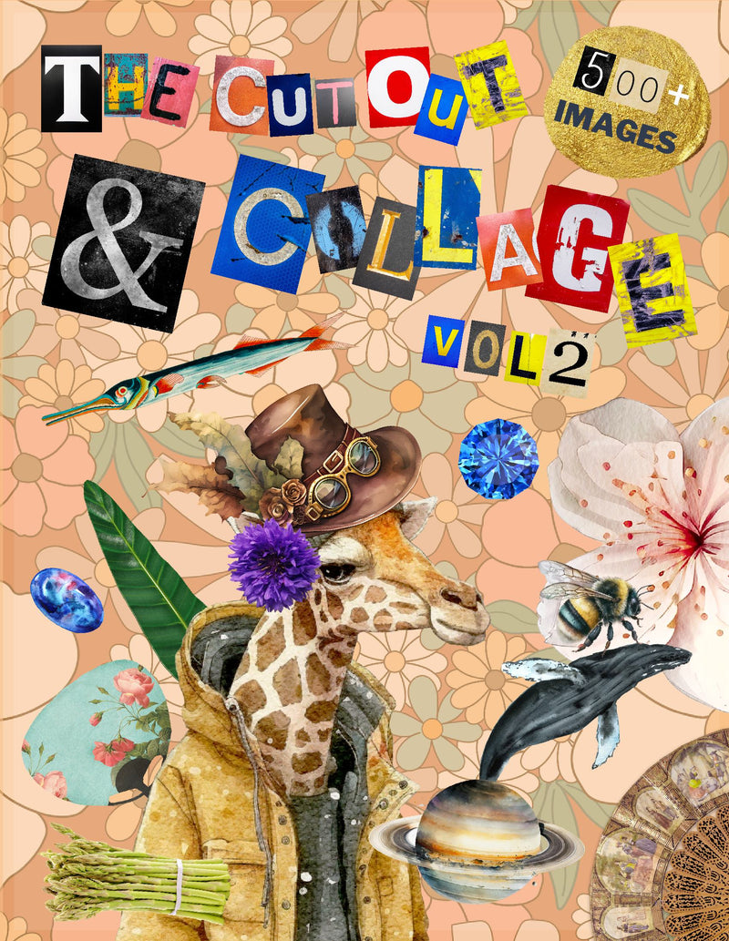 The Cut Out And Collage Activity Book Extraordinary Things Vol.2