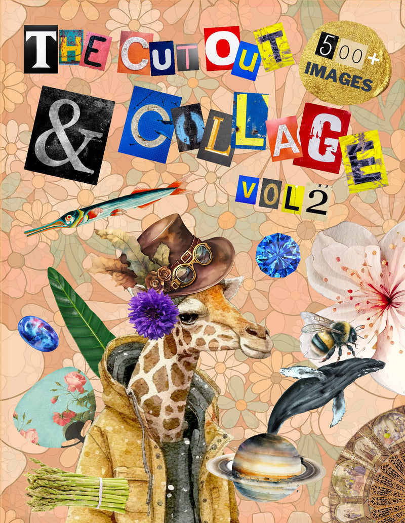 The Cut Out And Collage Activity Book Extraordinary Things Vol.2