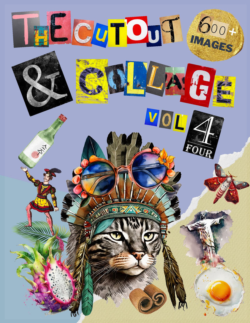 The Cut Out And Collage Activity Book Extraordinary Things Vol.4
