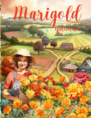 Marigold Ephemera Book
