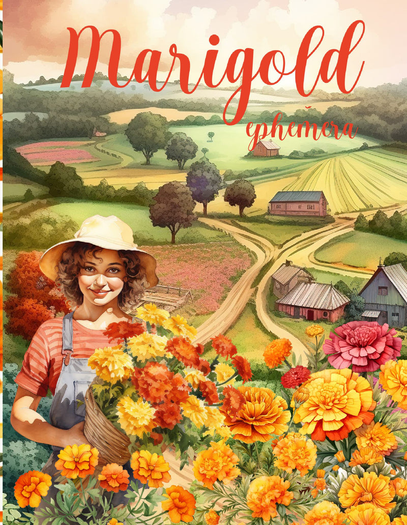 Marigold Ephemera Book