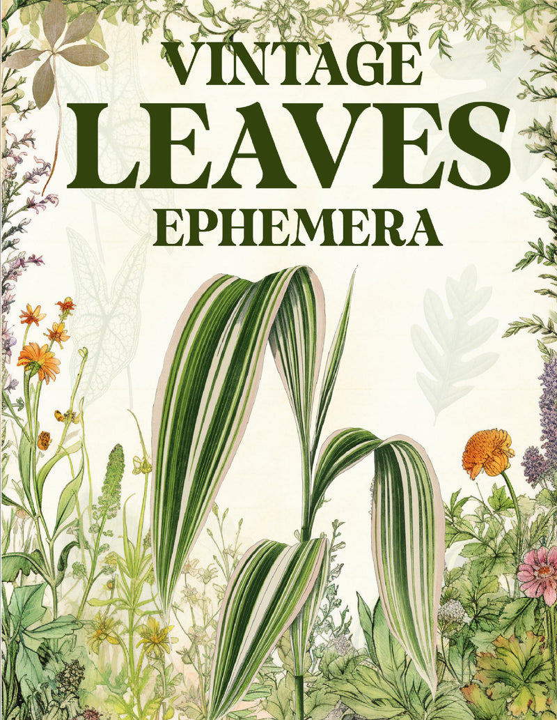 Vintage Leaves Ephemera Book