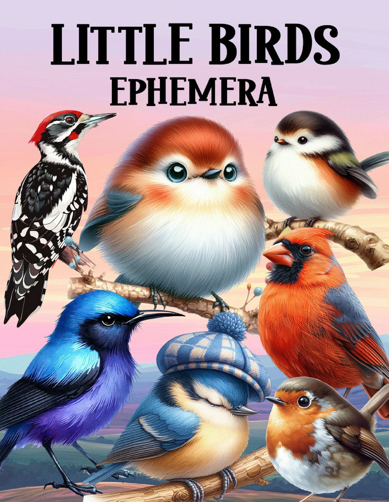 Little Birds Ephemera Book