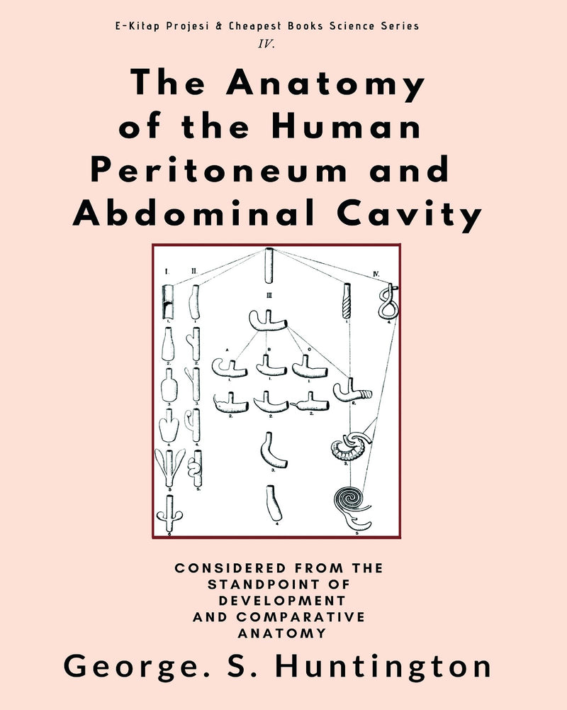The Anatomy of the Human Peritoneum and Abdominal Cavity