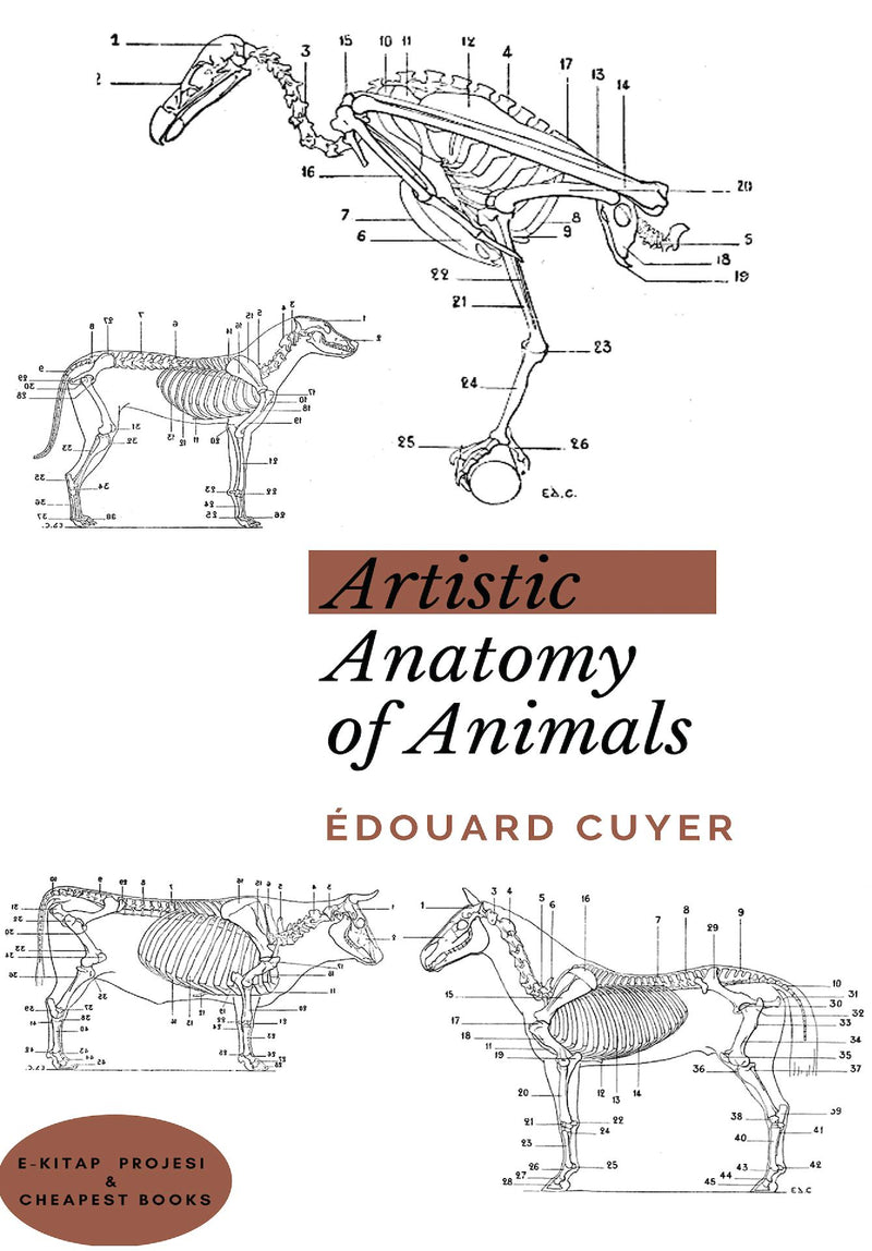 Artistic Anatomy of Animals