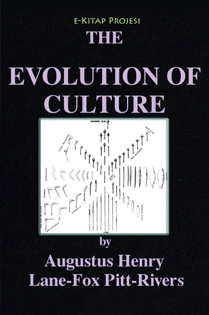 Evolution of the Culture