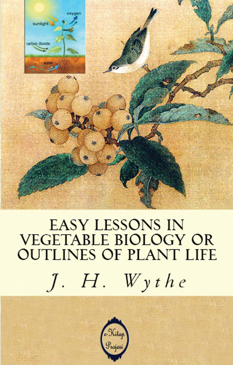 Easy Lessons in Vegetable Biology or Outlines of Plant Life