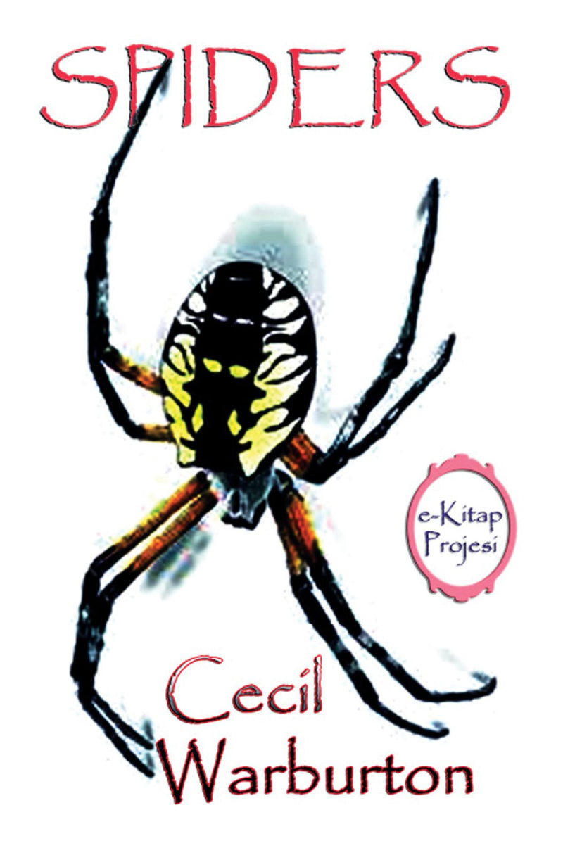 Spiders