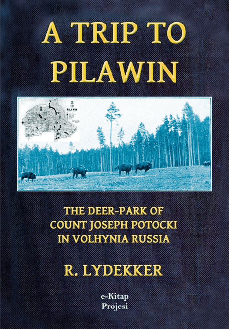 A Trip to Pilawin