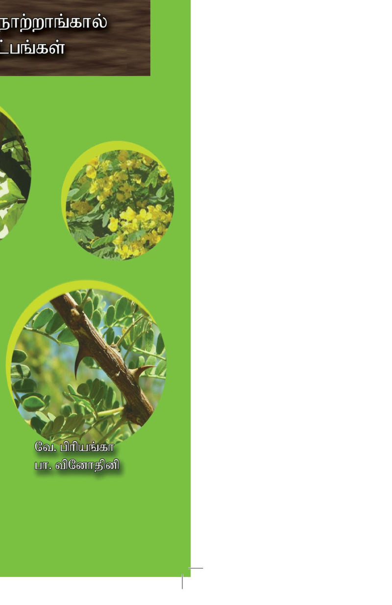 Nursery Techniques for Trees
