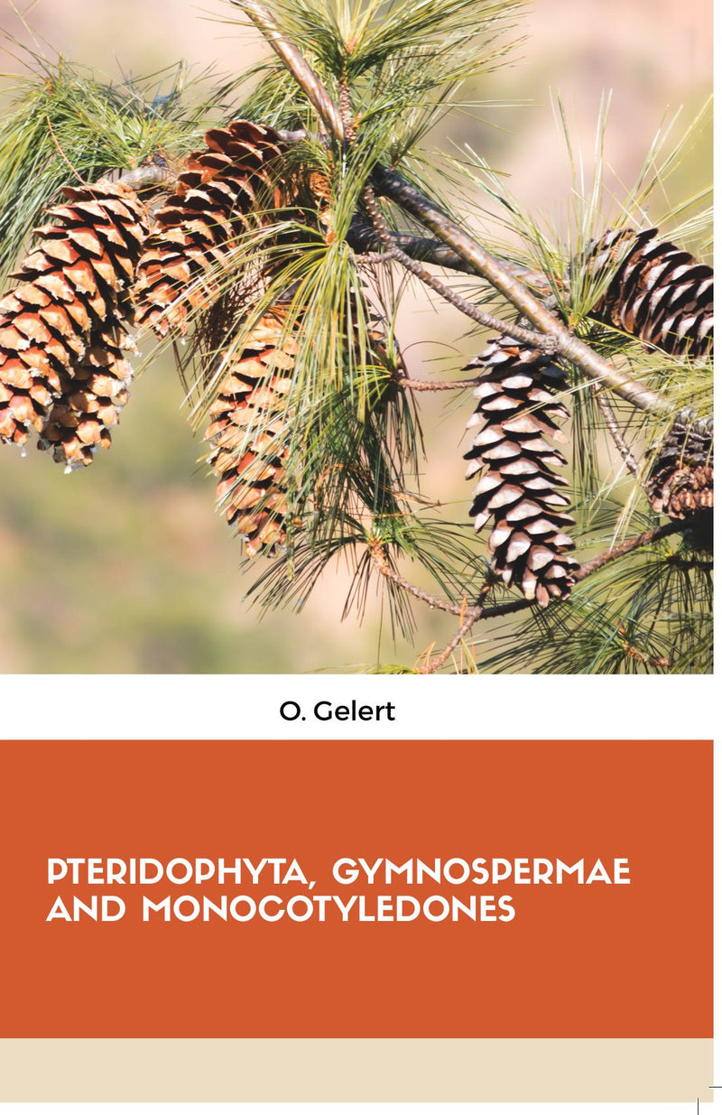 PTERIDOPHYTA, GYMNOSPERMAE AND MONOCOTYLEDONES