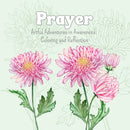 Artful Adventures in Awareness - Prayer