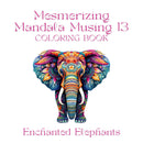 Mesmerizing Mandala Musing 13