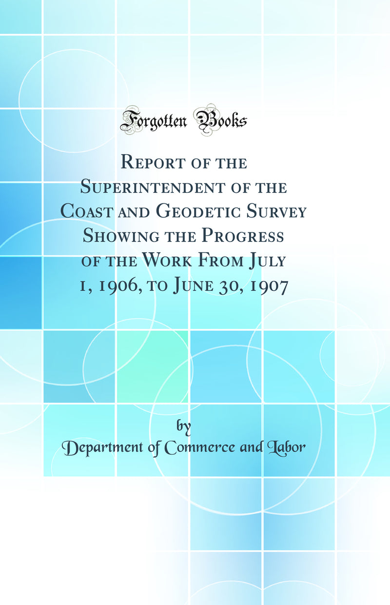 Report of the Superintendent of the Coast and Geodetic Survey Showing the Progress of the Work From July 1, 1906, to June 30, 1907 (Classic Reprint)
