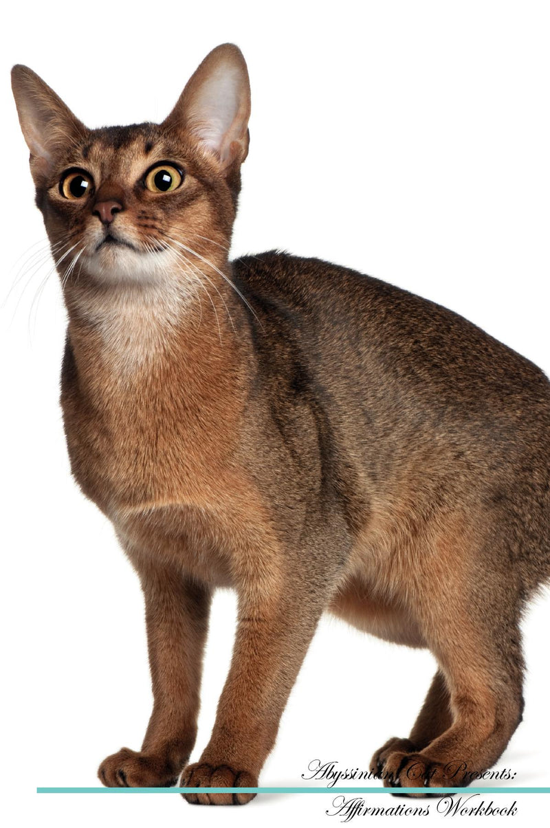 Abyssinian Cat Affirmations Workbook Abyssinian Cat Presents: Positive and Loving Affirmations Workbook. Includes: Mentoring Questions, Guidance, Supporting You.