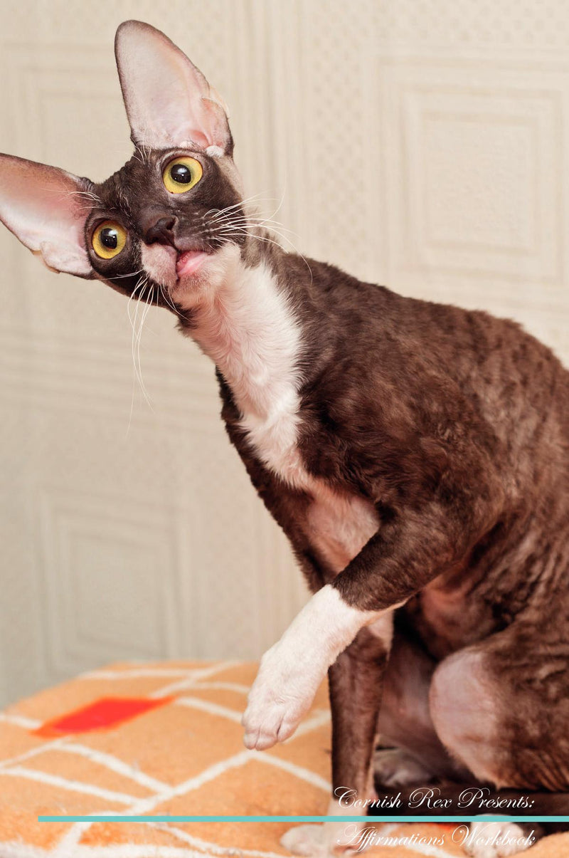Cornish Rex Affirmations Workbook Cornish Rex Presents: Positive and Loving Affirmations Workbook. Includes: Mentoring Questions, Guidance, Supporting You.