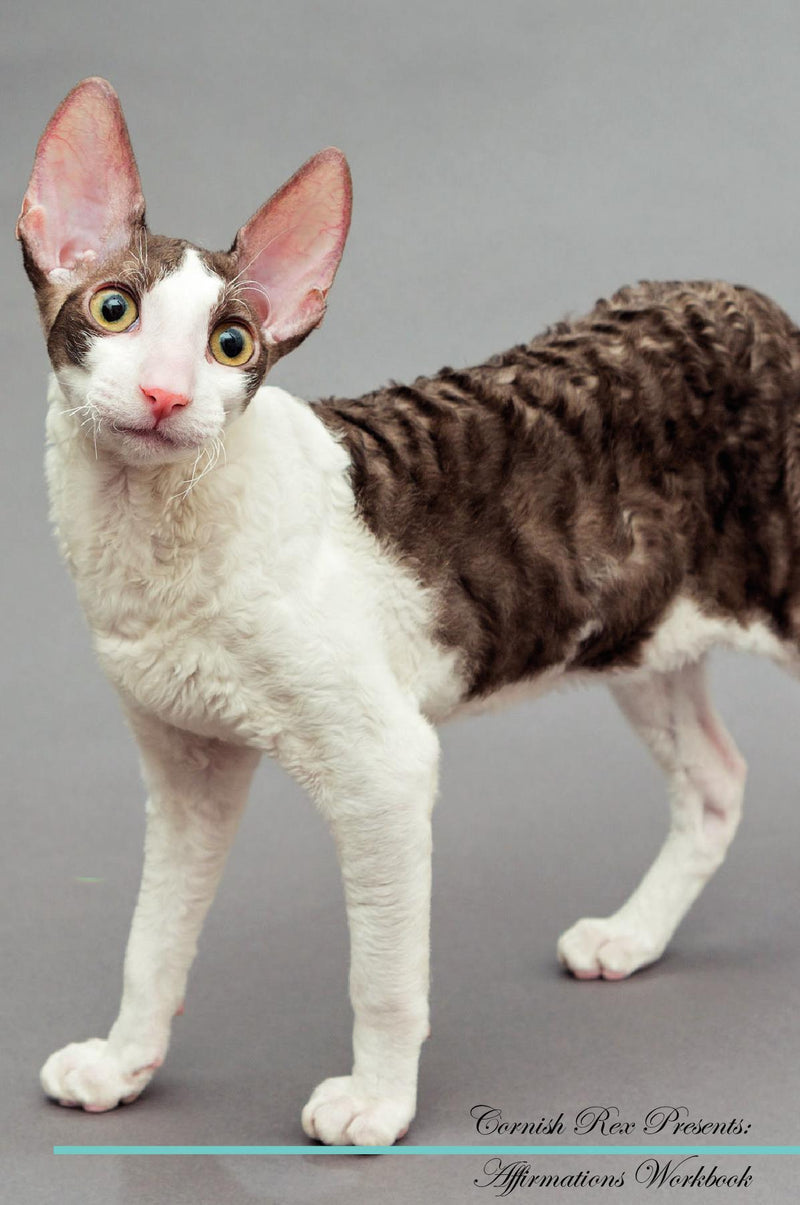Cornish Rex Affirmations Workbook Cornish Rex Presents: Positive and Loving Affirmations Workbook. Includes: Mentoring Questions, Guidance, Supporting You.