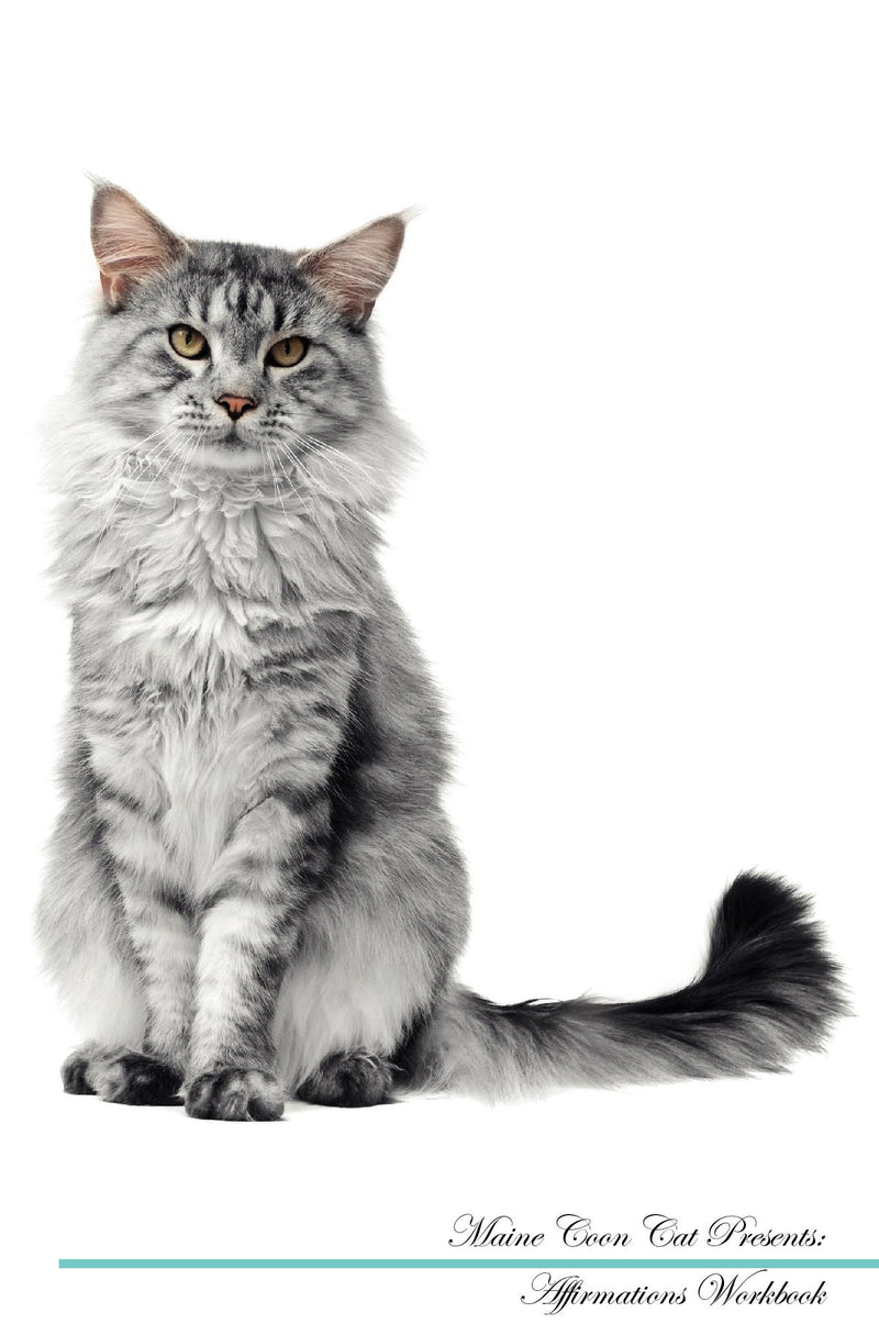 Maine Coon Cat Affirmations Workbook Maine Coon Cat Presents: Positive and Loving Affirmations Workbook. Includes: Mentoring Questions, Guidance, Supporting You.