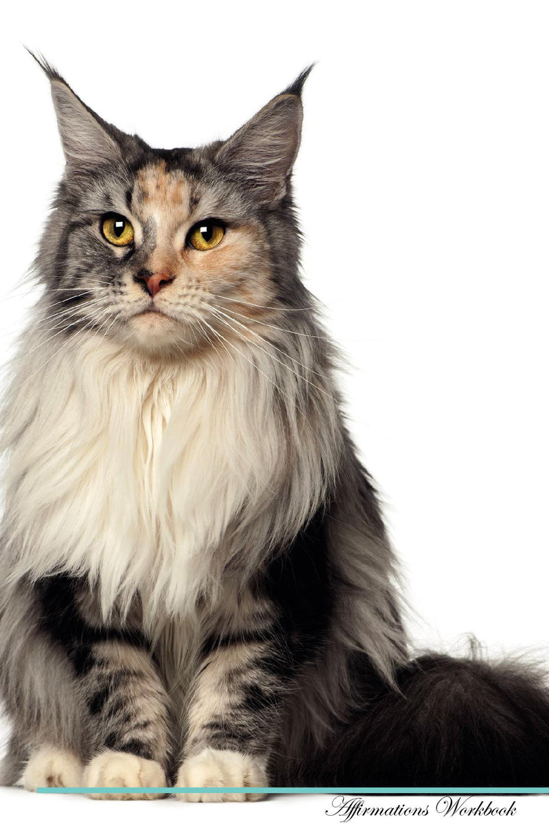 Maine Coon Cat Affirmations Workbook Maine Coon Cat Presents: Positive and Loving Affirmations Workbook. Includes: Mentoring Questions, Guidance, Supporting You.