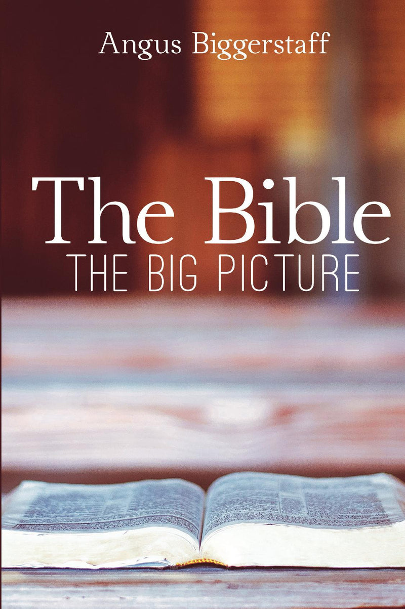 The Bible - The Big Picture