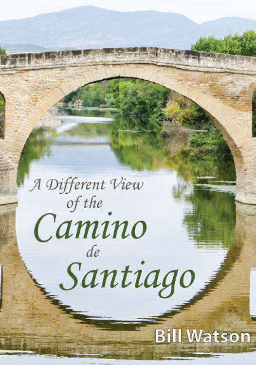 A Different View of the Camino de Santiago