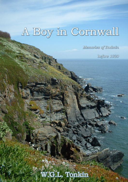 A Boy in Cornwall