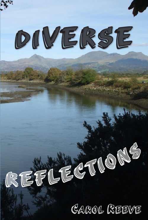 Diverse Reflections
