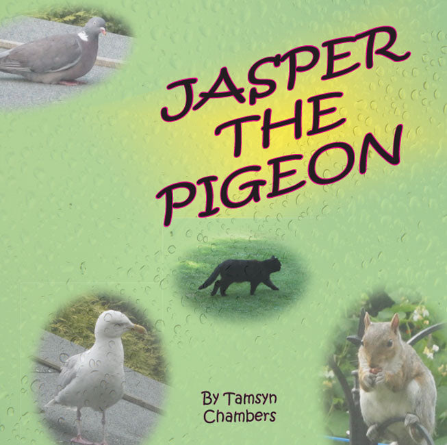 Jasper the Pigeon