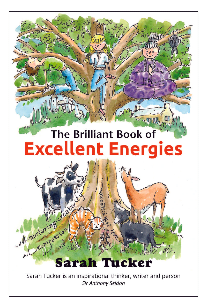 The Brilliant Book of Excellent Energies