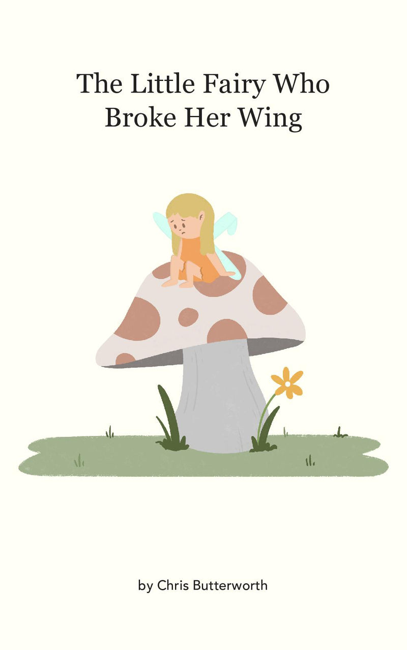 The Little Fairy Who Broke Her Wing