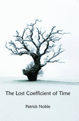 The Lost Coefficient of Time