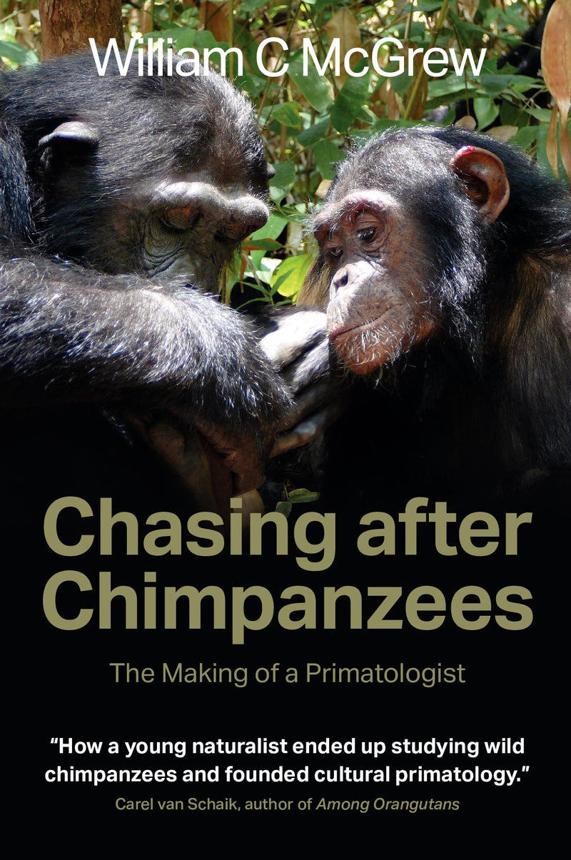 Chasing after Chimpanzees