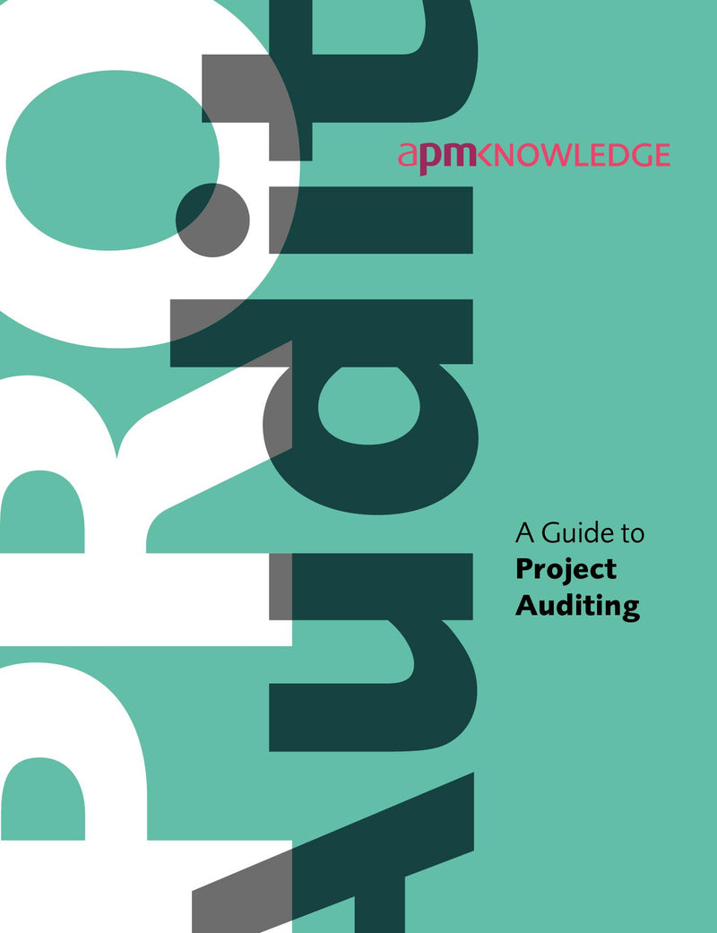 A Guide to Project Auditing