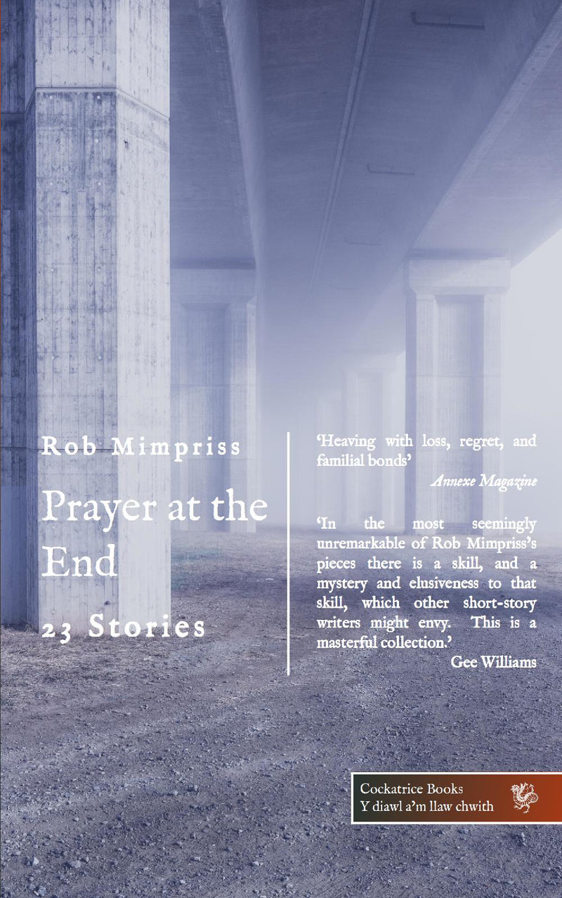 Prayer at the End: Twenty-Three Stories