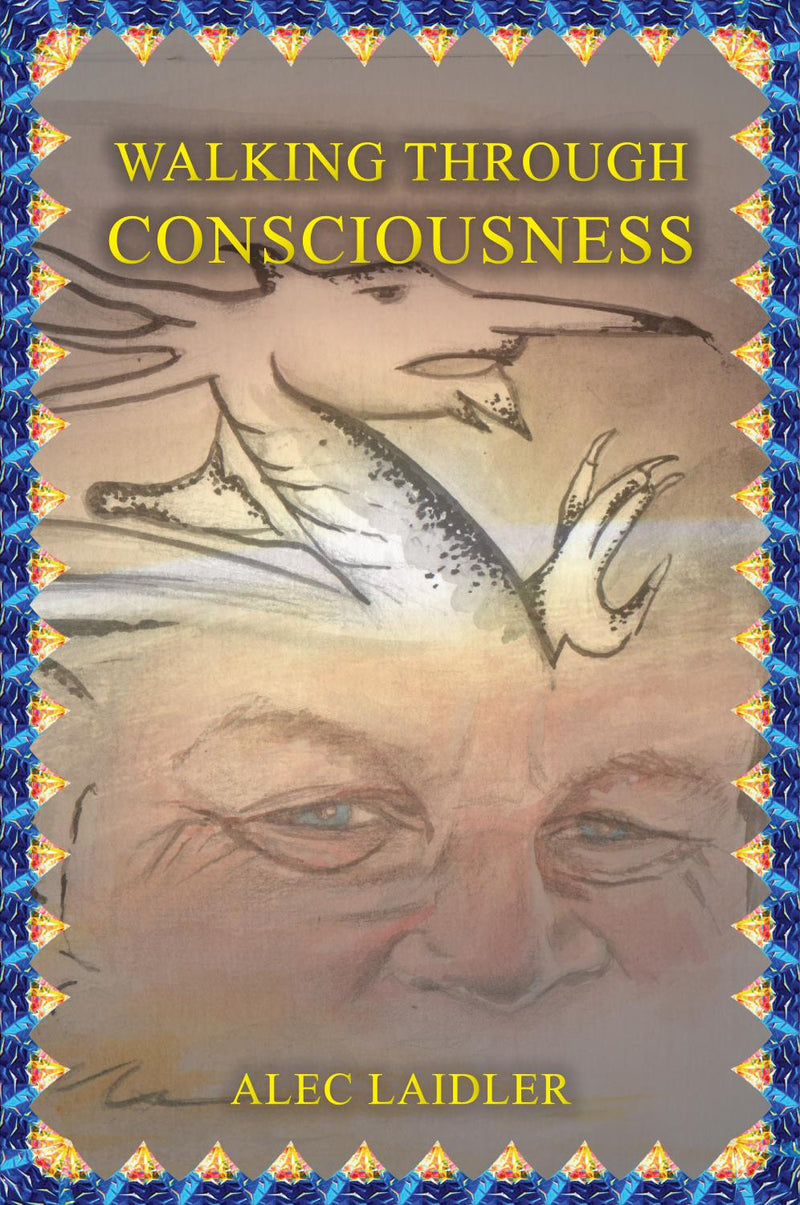 Walking Through Consciousness
