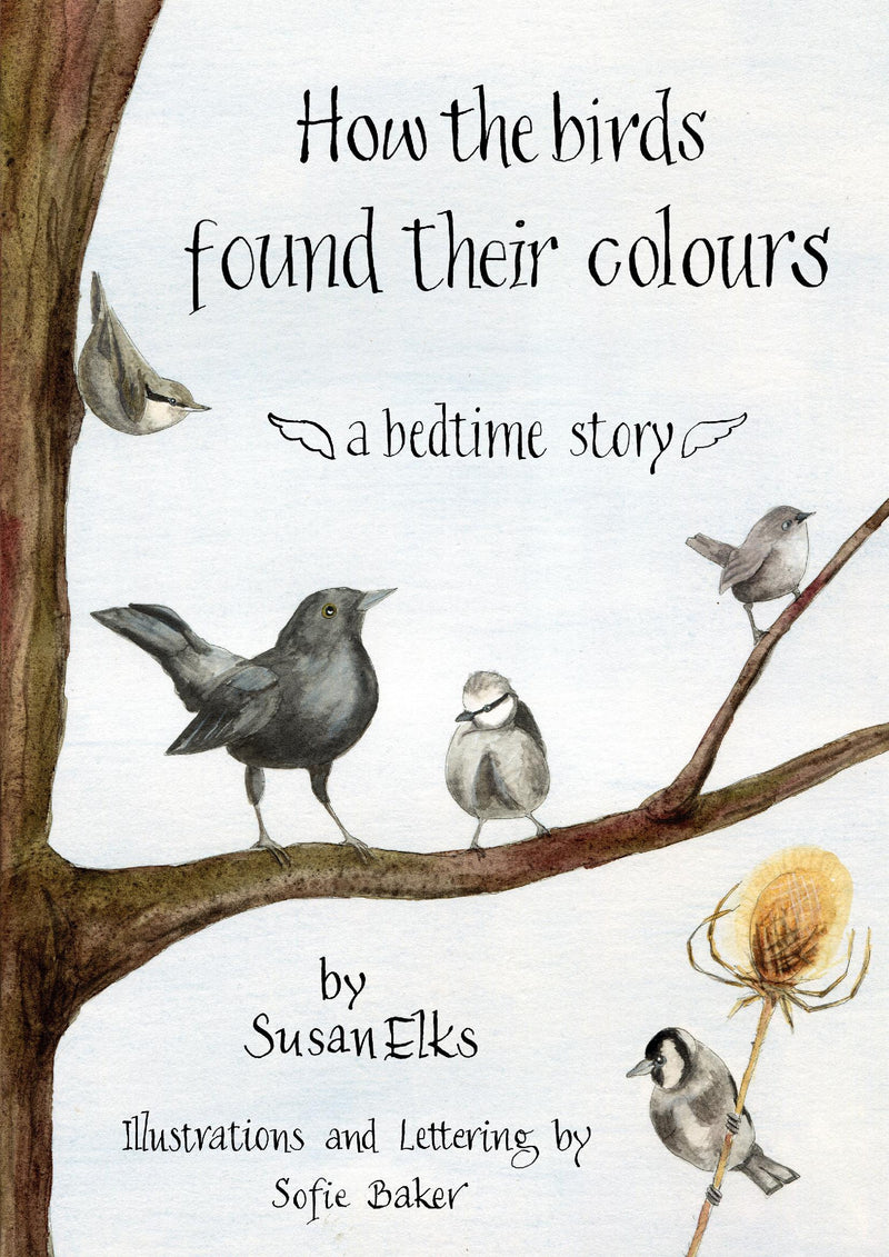 How The Birds Found Their Colours